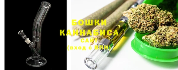 крисы Белокуриха