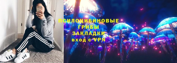 крисы Белокуриха