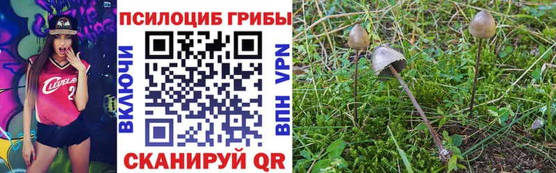 Купить закладки  Данилов  Псилоцибиновые грибы ЛСД 