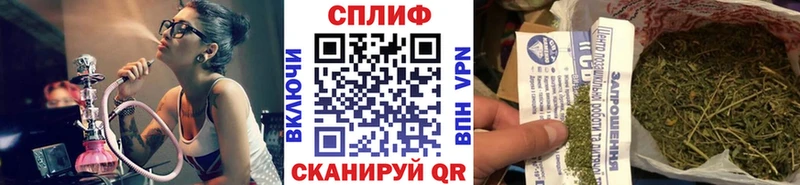 Каннабис конопля  Купить где  Данилов 